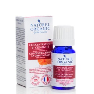 Sinergia Concentration Et Creativite